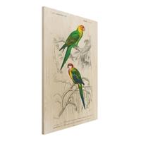 Bilderwelten Holzbild Tiere - Hochformat 2:3 Vintage Lehrtafel Zwei Papageien GrÃ¼n Rot