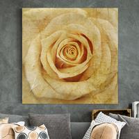 Bilderwelten Leinwandbild Blumen - Quadrat Vintage Rose