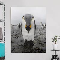 Bilderwelten Leinwandbild Tiere - Hochformat Pinguin