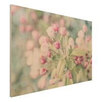 Bilderwelten Holzbild ApfelblÃ¼te Bokeh rosa