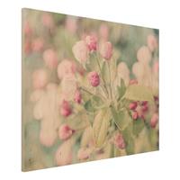 Bilderwelten Holzbild ApfelblÃ¼te Bokeh rosa