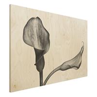 Bilderwelten Holzbild Calla Nahaufnahme Schwarz-WeiÃŸ