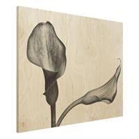 Bilderwelten Holzbild Calla Nahaufnahme Schwarz-WeiÃŸ