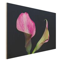 Bilderwelten Holzbild Calla Nahaufnahme vor Schwarz