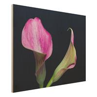 Bilderwelten Holzbild Calla Nahaufnahme vor Schwarz