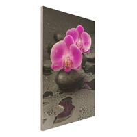 Bilderwelten Holzbild Pinke OrchideenblÃ¼ten auf Steinen mit Tropfen