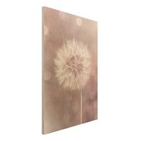 Bilderwelten Holzbild Pusteblume Bokeh rosa