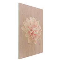 Bilderwelten Holzbild Dahlie Blume Lavendel Rosa WeiÃŸ