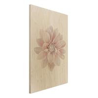 Bilderwelten Holzbild Dahlie Blume Pastell WeiÃŸ Rosa