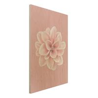 Bilderwelten Holzbild Dahlie Rosa Blush Blume Zentriert