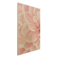 Bilderwelten Holzbild Dahlie Rosa BlÃ¼tenblÃtter Detail