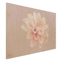 Bilderwelten Holzbild Dahlie Blume Lavendel Rosa WeiÃŸ