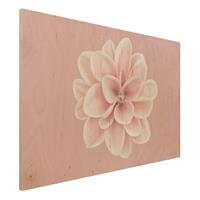 Bilderwelten Holzbild Dahlie Rosa Blush Blume Zentriert