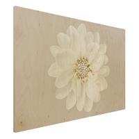 Bilderwelten Holzbild Dahlie WeiÃŸ Taupe Pastel Zentriert