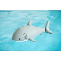 Westmann Pool Buddy versch. Ausführungen