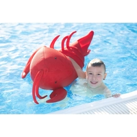 Westmann Pool Buddy versch. Ausführungen