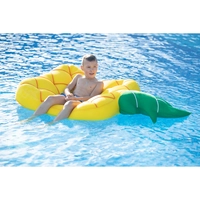 Westmann Pool Buddy versch. Ausführungen