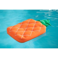 Westmann Pool Buddy versch. Ausführungen