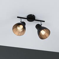 Paulmann Deckenleuchte »Davymax. 2x20W E27 Schwarz«