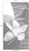 Wall-Art Vliestapete »Wellness Orchidee«