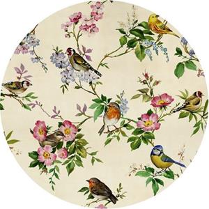 Komar Fototapete »Bird Party«, glatt, Comic, botanisch, (Packung, 1 St), 125 x 125 cm