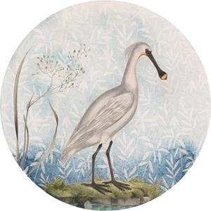 Komar Fotobehang Spoonbill 125 x 125 cm (1 stuk)