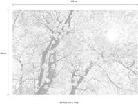 Komar Vliestapete »Bloom«, glatt, naturalistisch