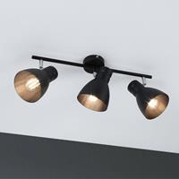 Paulmann Deckenleuchte »Davymax. 3x20W E27 Schwarz«