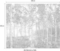 Komar Vliestapete »Sunday«, glatt, naturalistisch