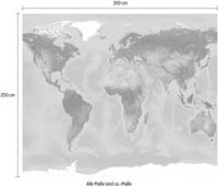 Komar Vliestapete »World«, glatt, naturalistisch