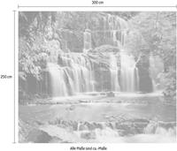 Komar Vliestapete »Pura Kaun«, glatt, naturalistisch