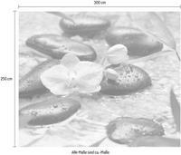 Komar Vliestapete »Pure«, glatt, naturalistisch