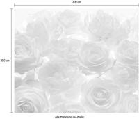 Komar Vliestapete »Shalimar«, glatt, naturalistisch
