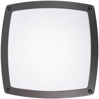 Paco Home Wandlamp voor buiten Chiara Buiten E27 In- & Outdoor gang aluminium IP54 tuin terras gang