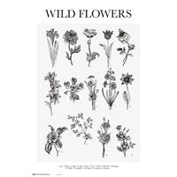 Grupo Erik Wild Flowers Poster 61x91,5cm