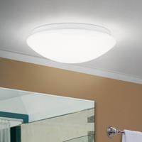 Orion LED plafondlamp Nedo gewelfd, Ø 25 cm