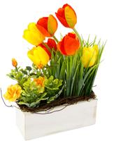my home Takken Tulpen Wildrosen und Gras