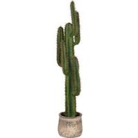 Label51 Cactus - Groen - Kunststof - 130