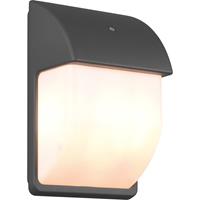 BES LED Led Tuinverlichting Met Dag En Nacht Sensor - Buitenlamp - Trion Menaki - E14 Fitting patwaterdicht Ip44 - Ovaal -