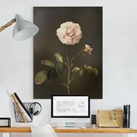 Bilderwelten Leinwandbild Blumen - Hochformat Barbara Regina Dietzsch - Essig-Rose mit Hummel