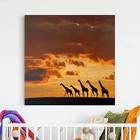 Bilderwelten Leinwandbild Afrika - Quadrat Fünf Giraffen