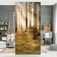 Bilderwelten Raumteiler Natur & Landschaften No.CA48 Morning Forest