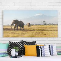 Klebefieber Leinwandbild Afrika Elefanten vor dem Kilimanjaro in Kenya