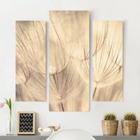 Bilderwelten 3-teiliges Leinwandbild Blumen Pusteblumen Nahaufnahme in wohnlicher Sepia Tönung