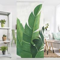 Bilderwelten Raumteiler Botanik & Tropical Lieblingspflanzen - Banane