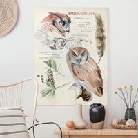 Bilderwelten Leinwandbild Tiere - Hochformat Wildnis Journal - Eule