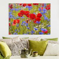 Bilderwelten Leinwandbild Sommerwiese mit Mohn und Kornblumen