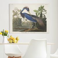 Bilderwelten Leinwandbild Vintage Lehrtafel Louisiana Reiher