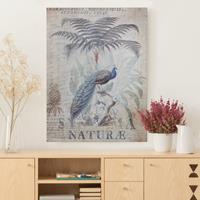 Bilderwelten Leinwandbild Shabby Chic Collage - Pfau