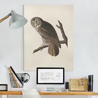 Bilderwelten Leinwandbild Vintage Lehrtafel Große Eule